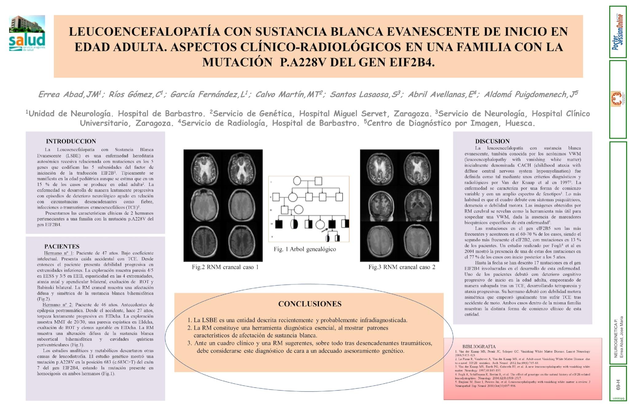 Leucoencefalopatía con Sustancia Blanca Evanescente de inicio en edad adulta. Aspectos clínico-radiológicos en una familia con la mutación p.A228V del gen EIF2B4.
