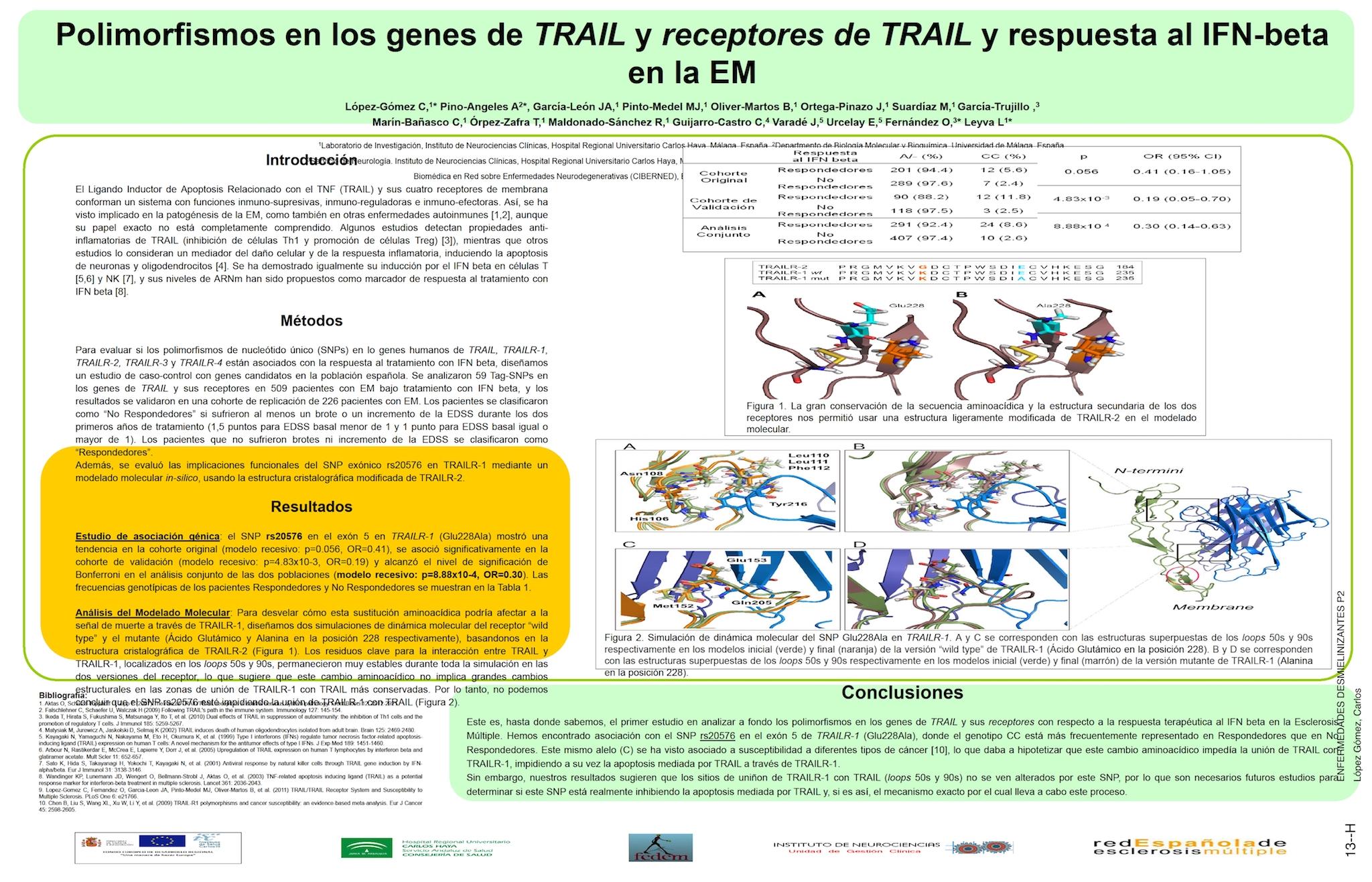 Polimorfismos en los genes de TRAIL y receptores de TRAIL y respuesta al IFN-beta.