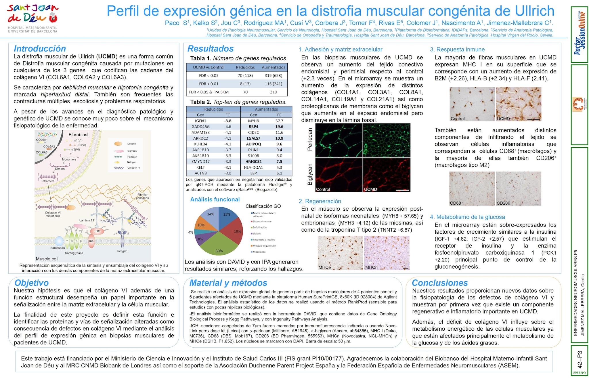 Perfil de expresión génica en la distrofia muscular congénita de Ullrich
