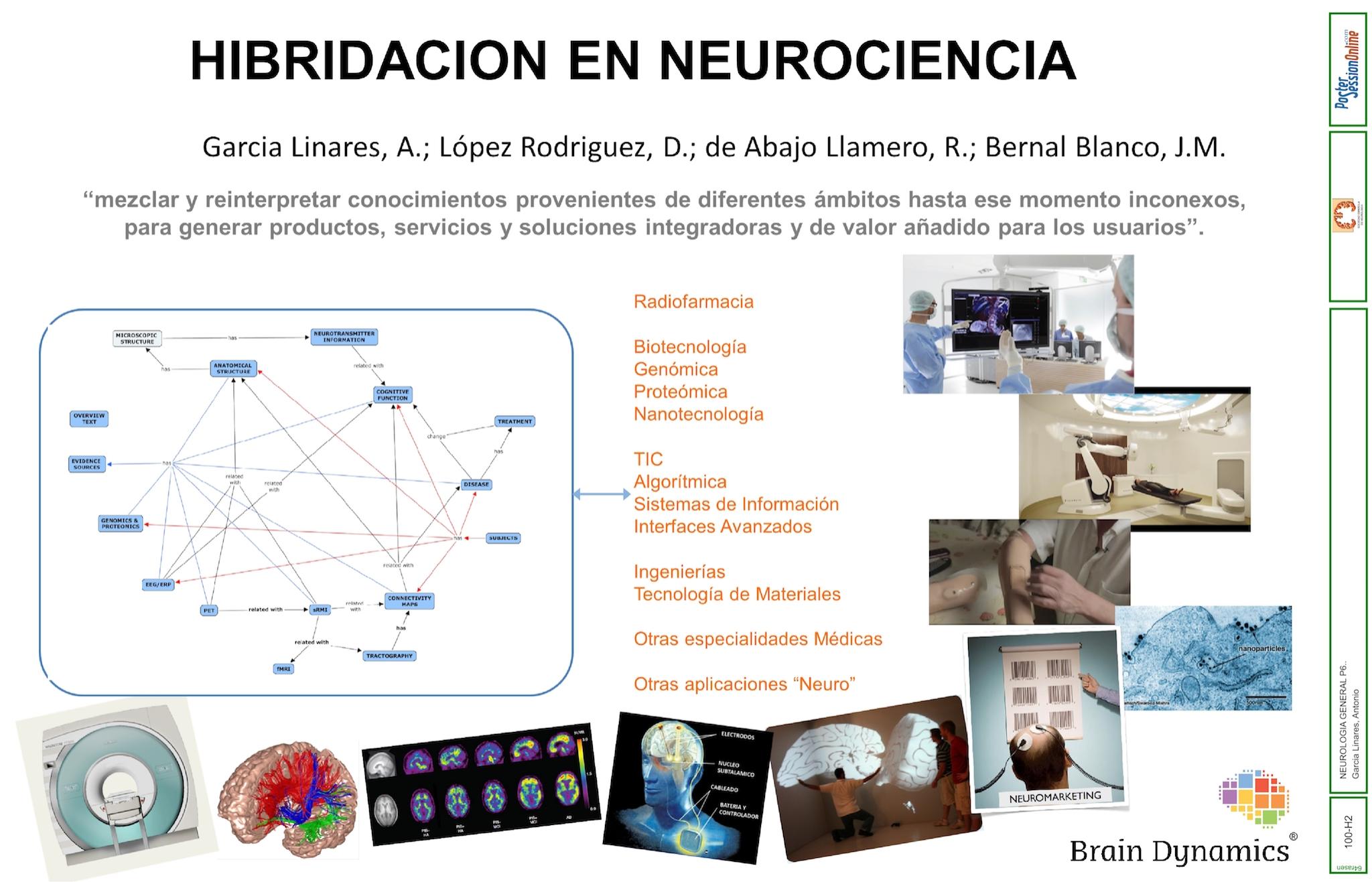 Hibridación en Neurociencia