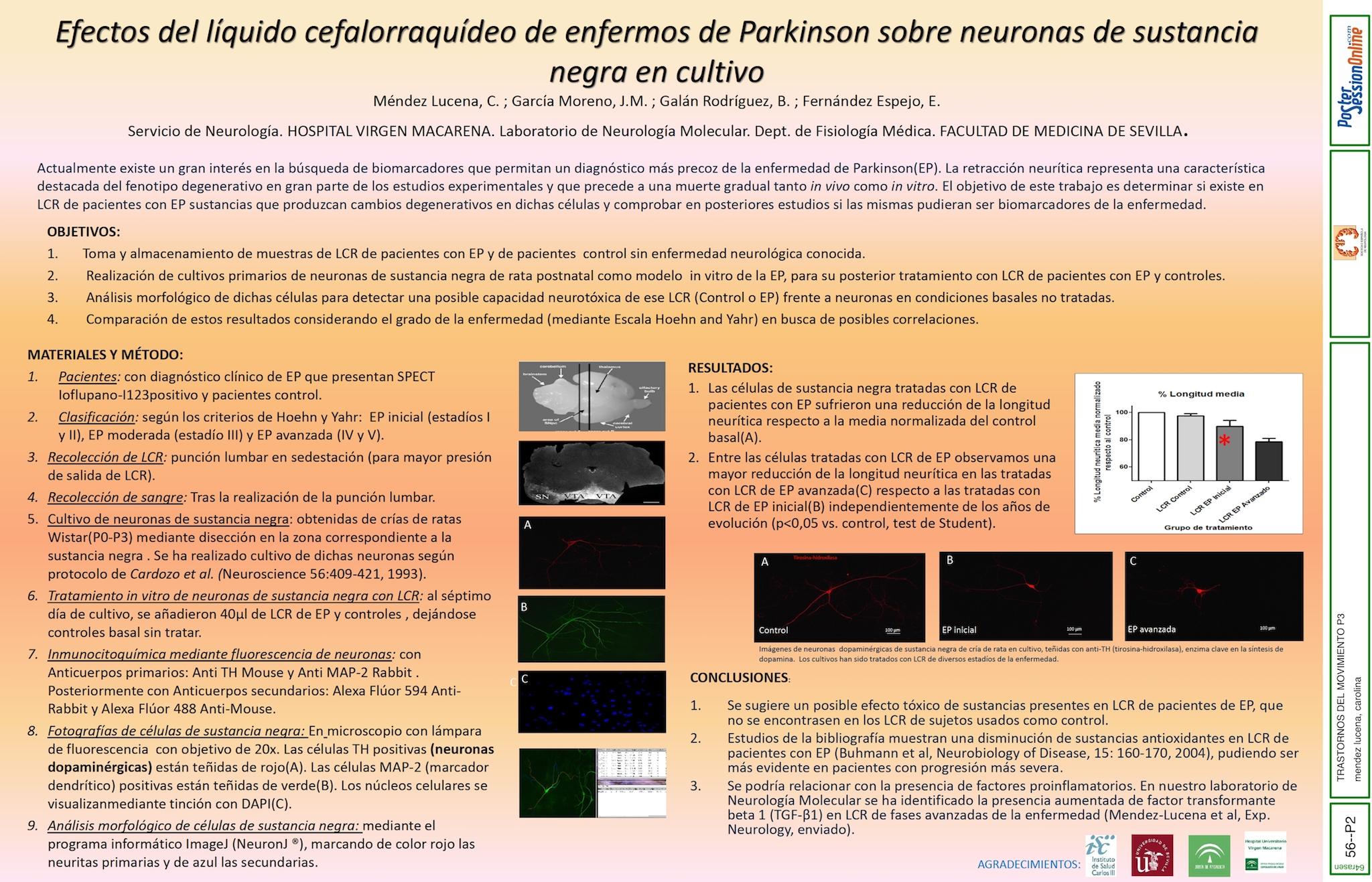 Efectos del líquido cefalorraquídeo de enfermos de Parkinson sobre neuronas de sustancia negra en cultivo.