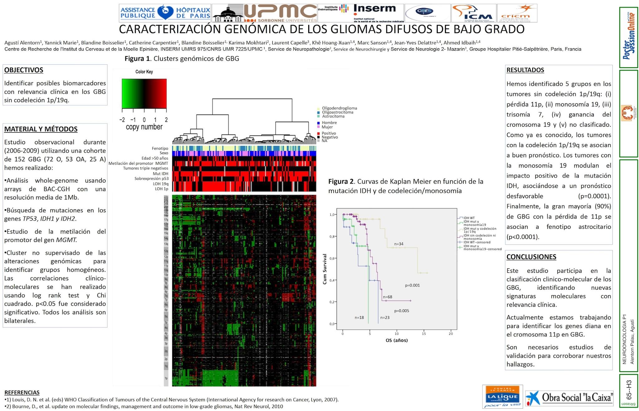 Caracterización genómica de los gliomas de bajo grado