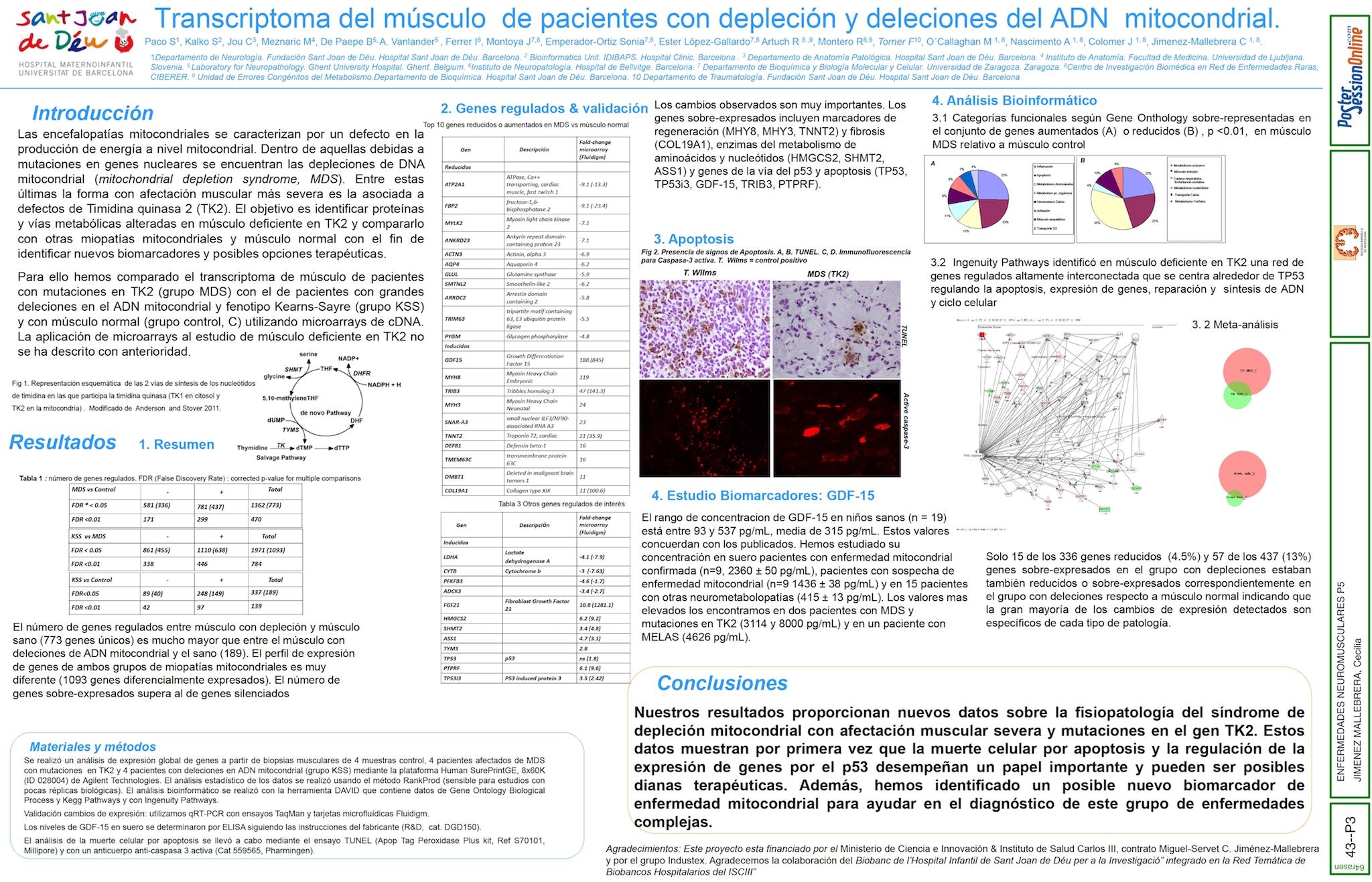 Transcriptoma del músculo de niños con depleción y deleciones del DNA mitocondrial