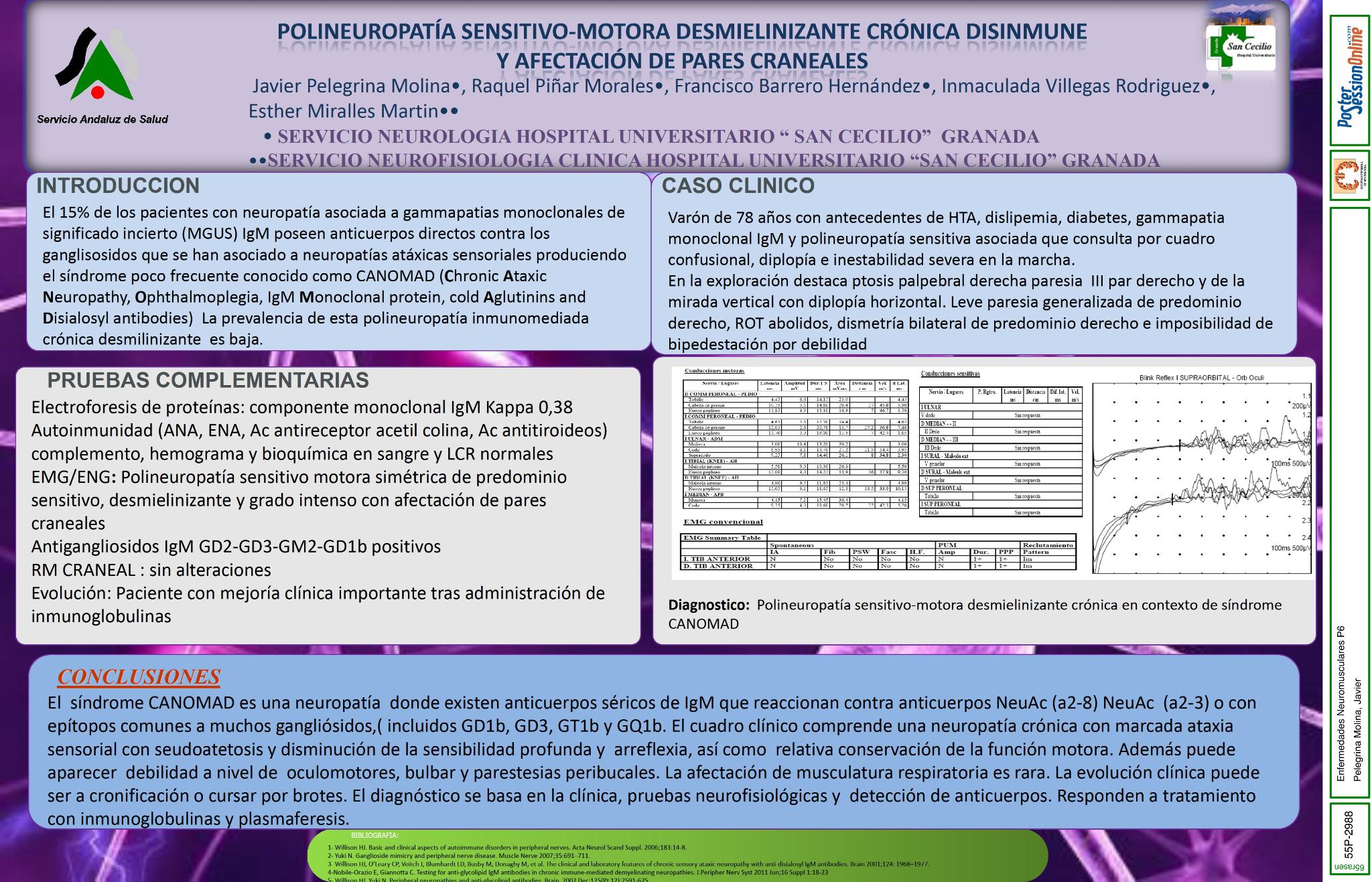 Polineuropatía sensitivo-motora desmielinizante crónica disinmune y afectación de pares craneales