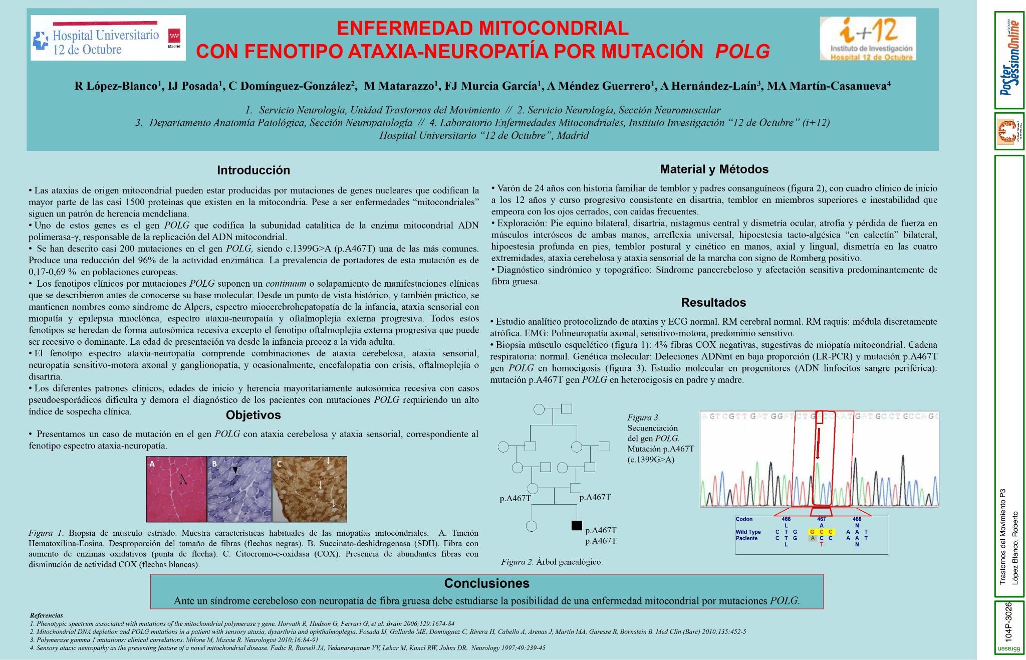 Enfermedad mitocondrial con fenotipo ataxia-neuropatía por mutación POLG