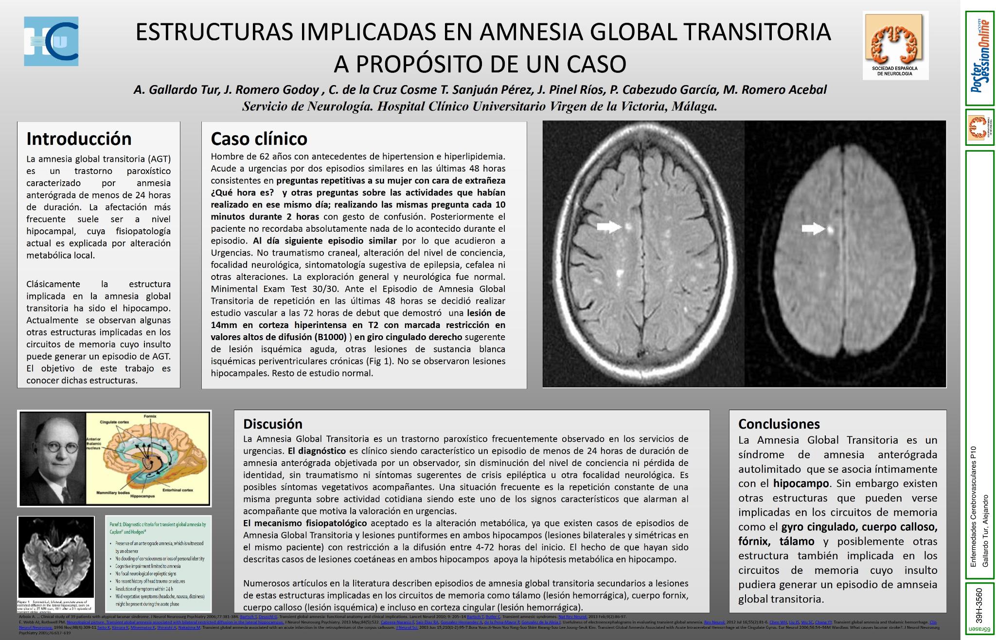 Estructuras implicadas en amnesia global transitoria, a propósito de un caso