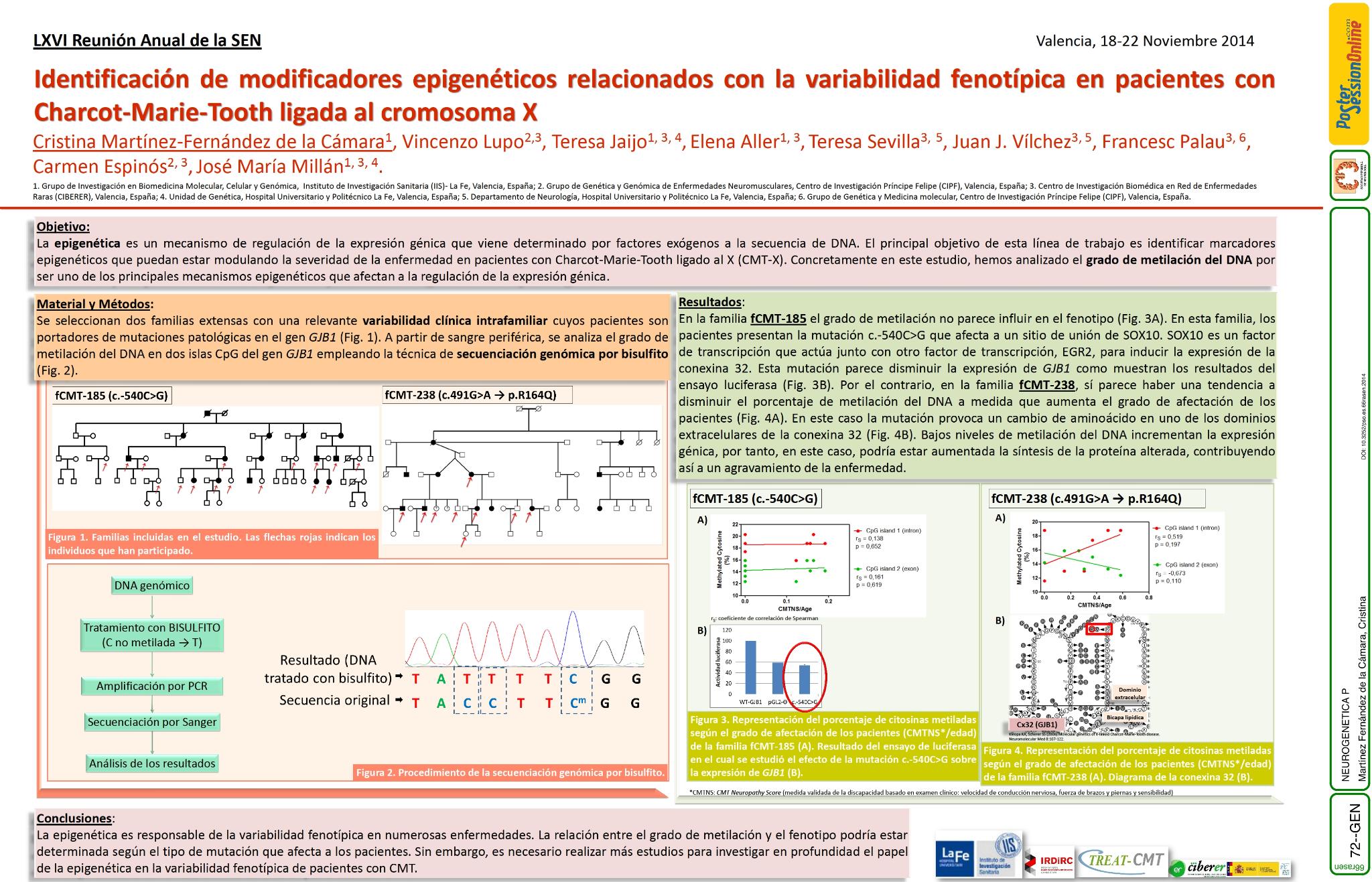 Identificación de modificadores epigenéticos relacionados con la variabilidad fenotípica en pacientes con Charcot Marie Tooth ligada al cromosoma X