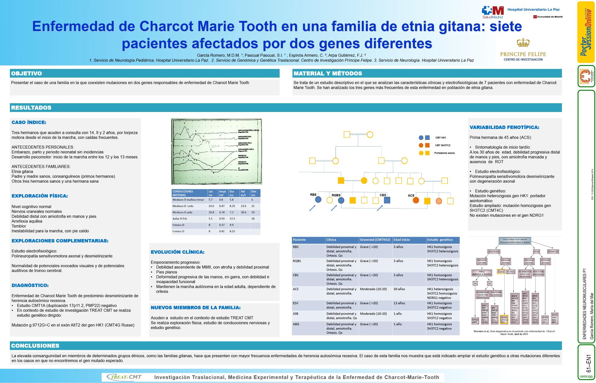 Enfermedad de Charcot Marie Tooth en una familia de etnia gitana: siete pacientes afectados por dos  genes diferentes