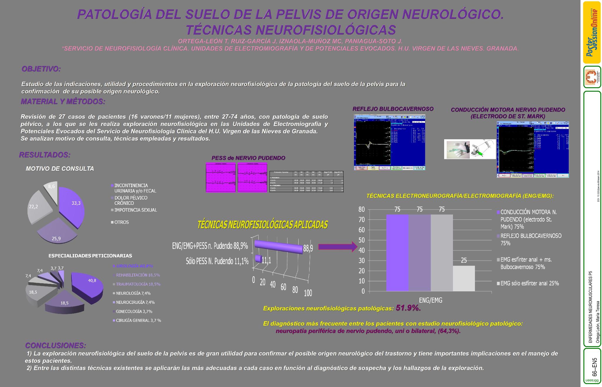 Patología del suelo de la pelvis de origen neurológico. Técnicas neurofisiológicas
