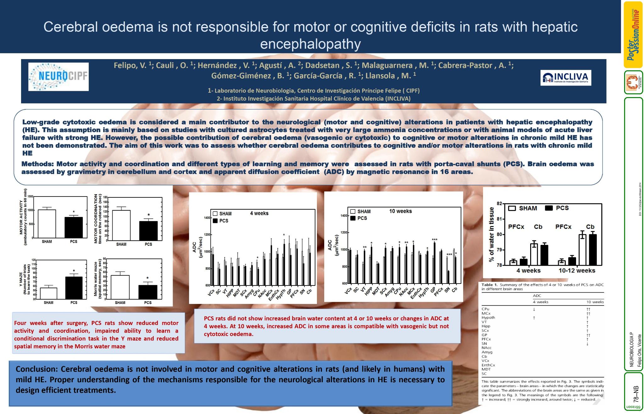 El edema citotóxico no es responsable de los déficits cognitivos o motores en ratas con encefalopatía hepática