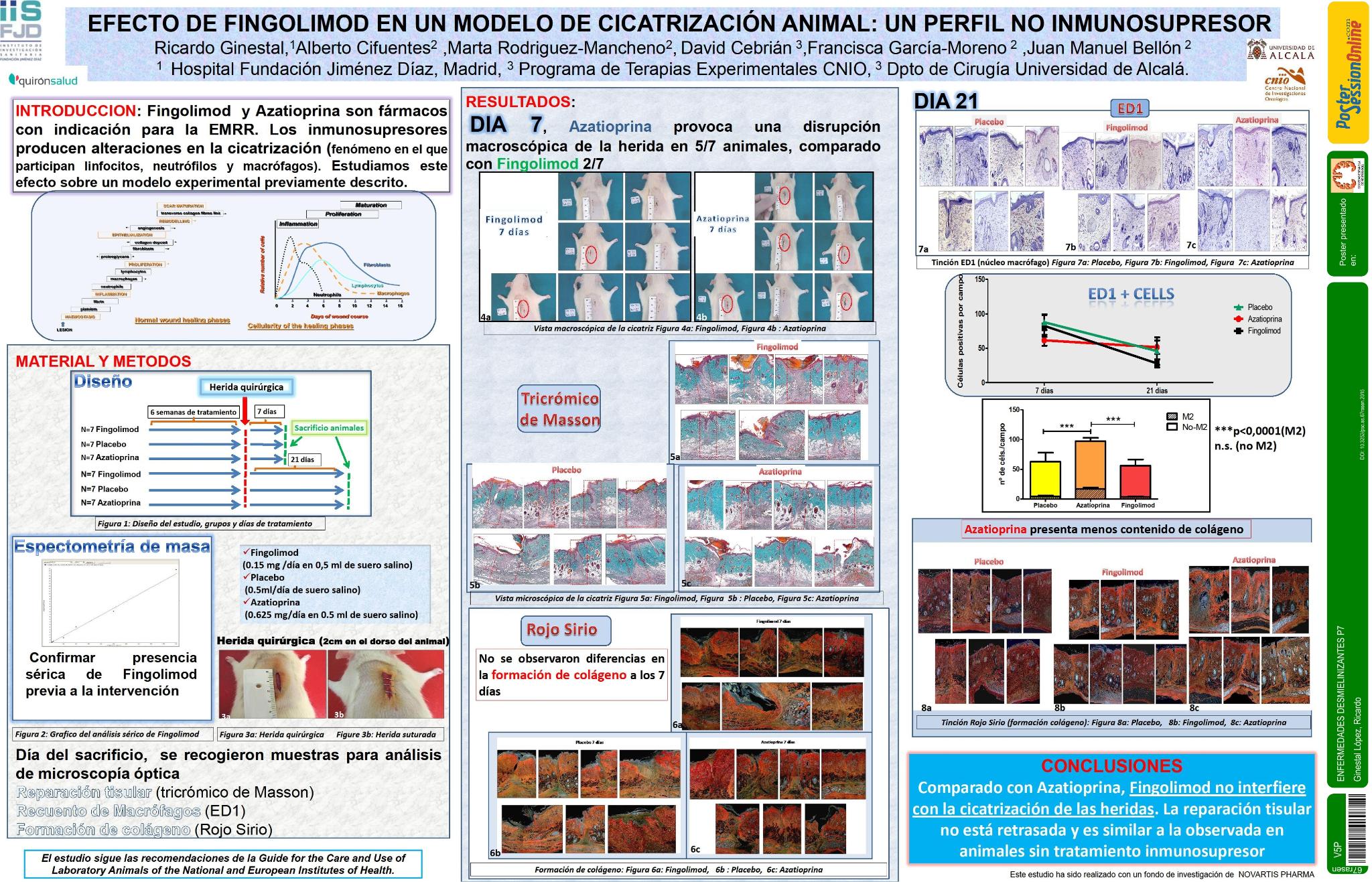 Efecto de Fingolimod en un modelo de cicatrización animal: un perfil no inmunosupresor