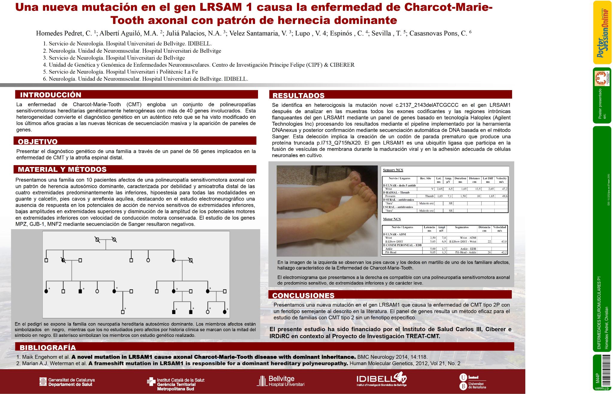 Una nueva mutación en el gen LRSAM 1 causa la enfermedad de Charcot-Marie-Tooth axonal con patrón de hernecia dominante