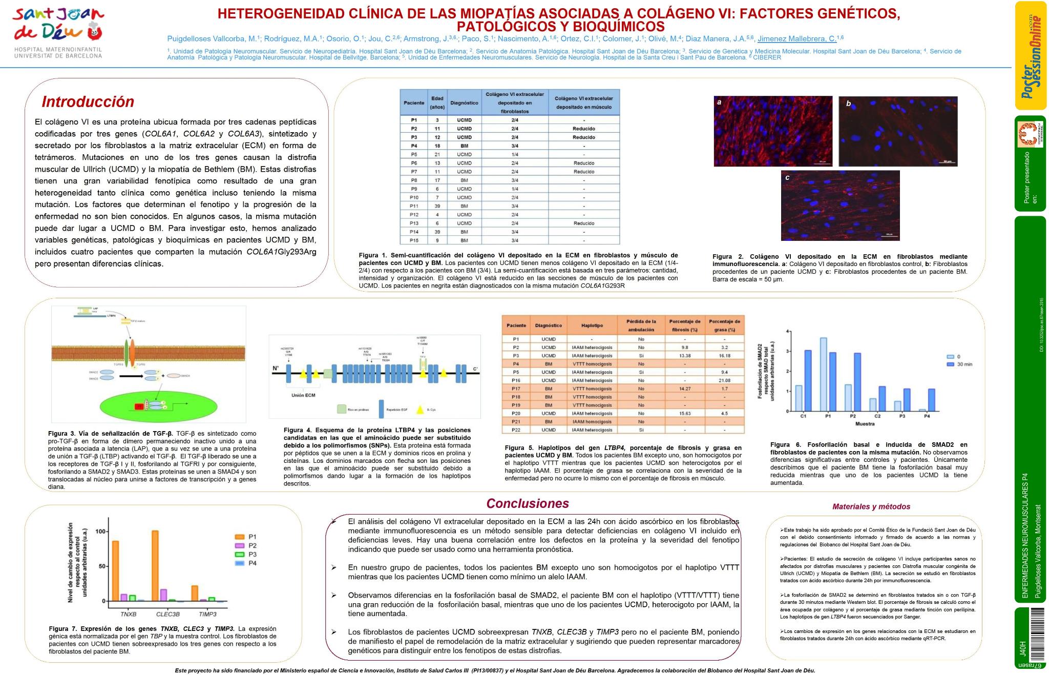 Heterogeneidad Clinica de las Miopatias Asociadas a Colageno VI: factores genéticos, patológicos y bioquímicos
