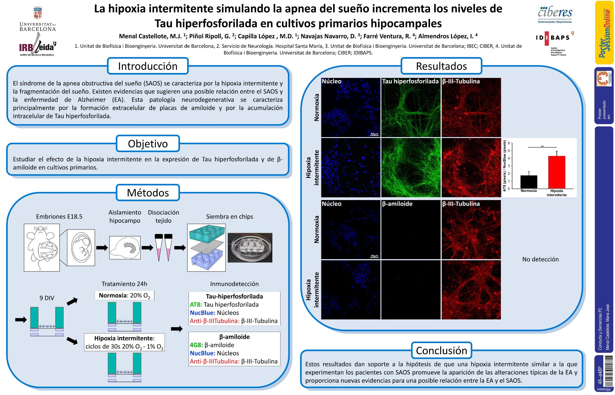 La hipoxia intermitente simulando la apnea del sueño incrementa los niveles de Tau hiperfosforilada en cultivos primarios hipocampales