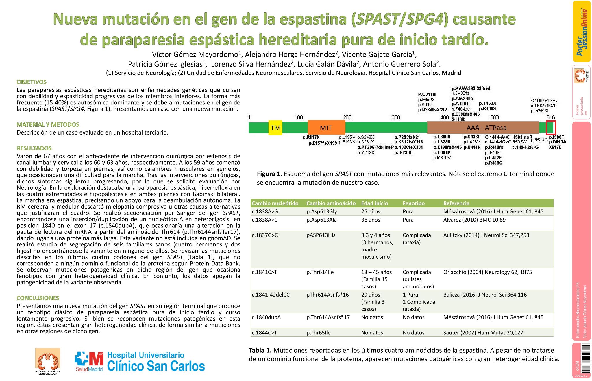 Nueva mutación en el gen de la espastina (SPAST/SPG4) causante de paraparesia espástica hereditaria pura de inicio tardío