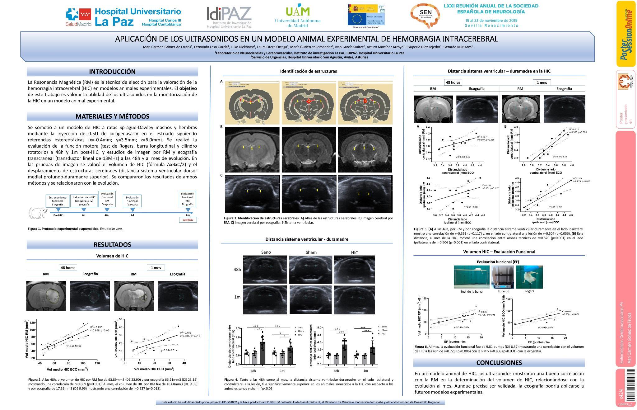 Aplicación de los ultrasonidos en un modelo animal experimental de hemorragia intracerebral