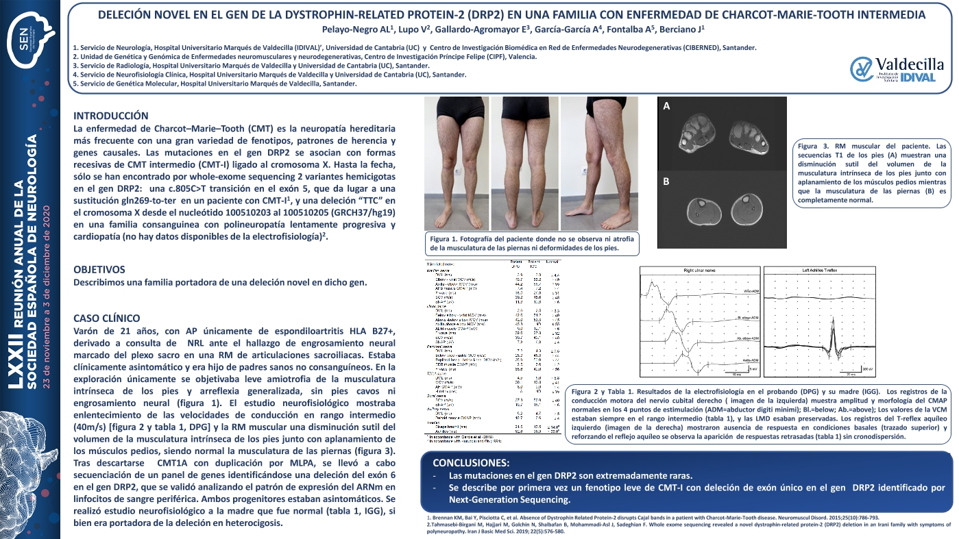 Deleción novel en el gen de la Dystrophin-Related Protein-2 (DRP2) en una familia con enfermedad de Charcot-Marie-Tooth intermedia