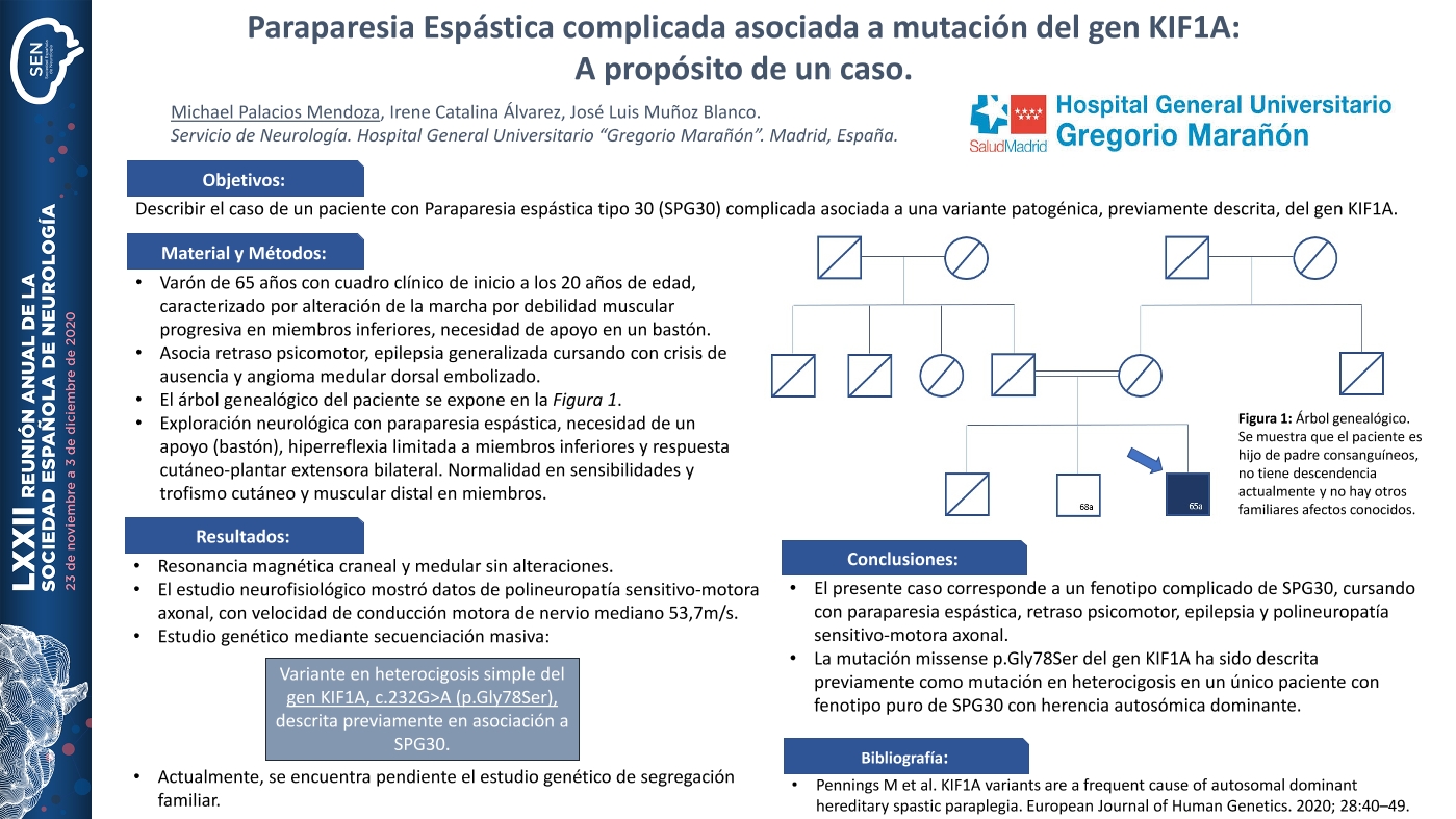 Paraparesia Espástica complicada asociada a mutación del gen KIF1A: A propósito de un caso