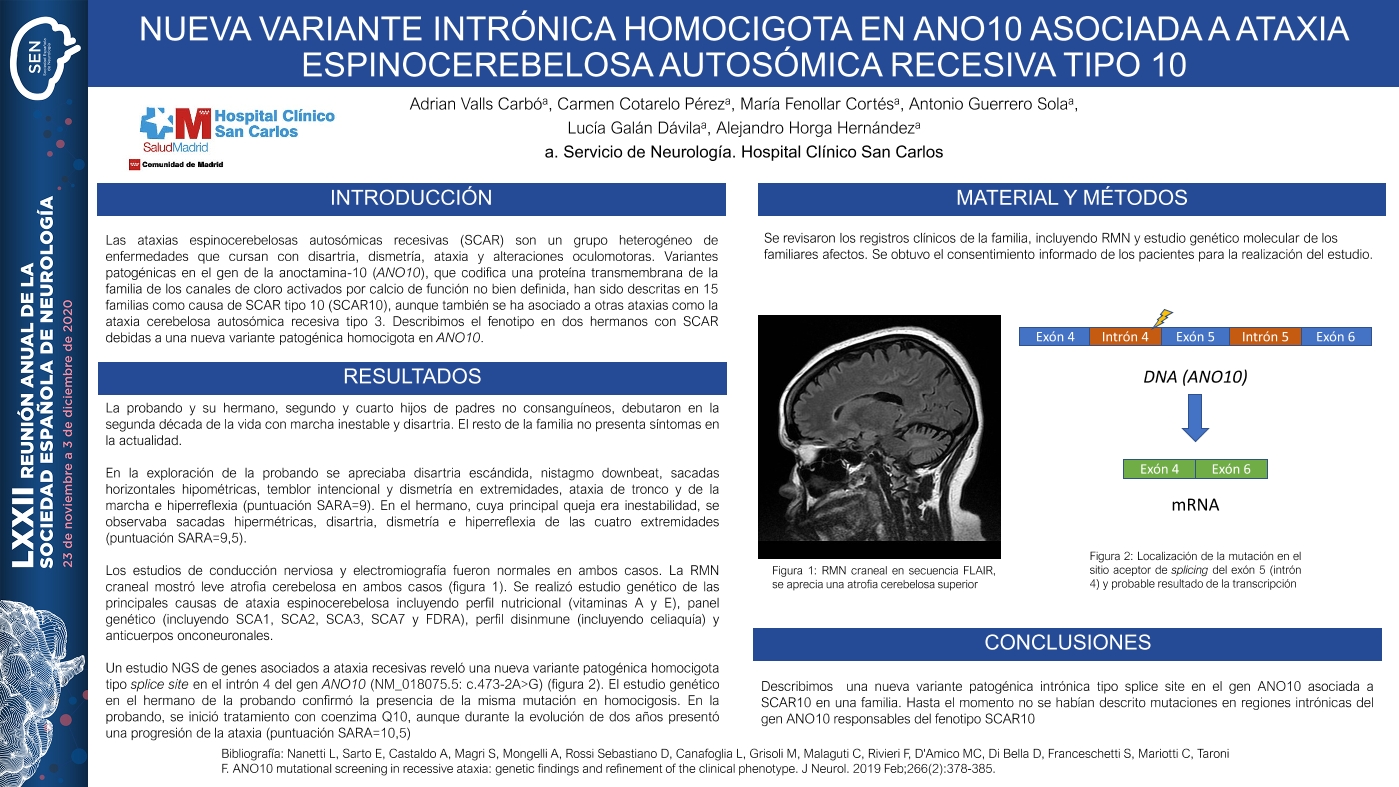 Nueva variante intrónica homocigota en ANO10 asociada a ataxia espinocerebelosa autosómica recesiva tipo 10