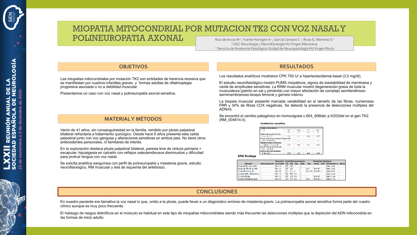 Miopatia mitocondrial por mutacion TK2 con voz nasal y polineuropatia axonal