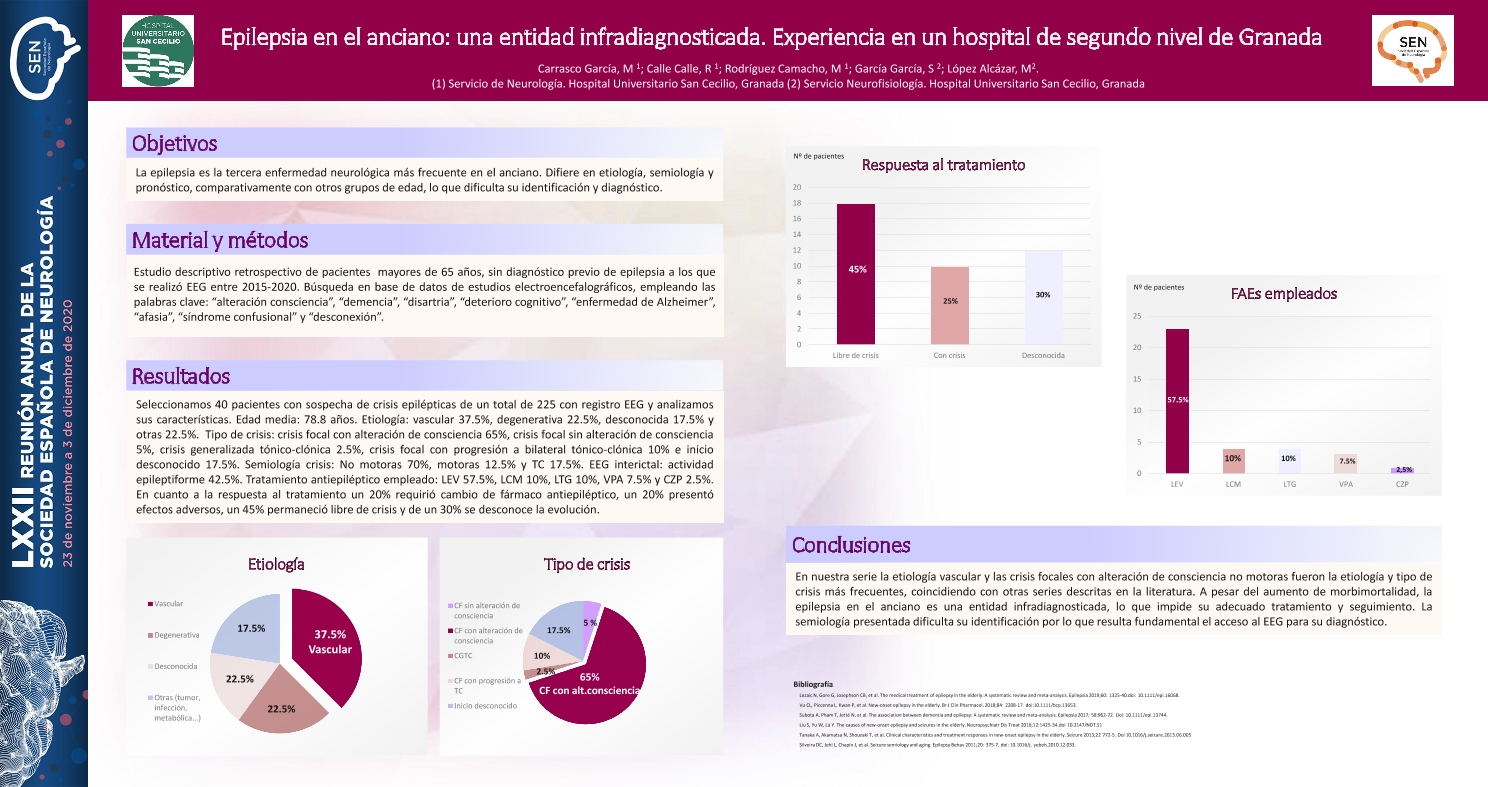 Epilepsia en el anciano: una entidad infradiagnosticada. Experiencia en un hospital de segundo nivel de Granada