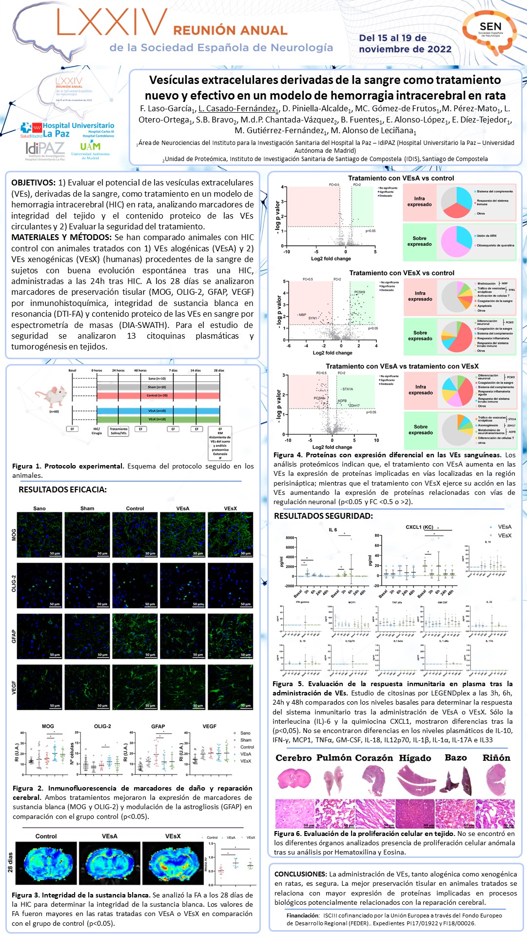 Estudio del contenido proteico y la seguridad de vesículas extracelulares derivadas de la sangre como tratamiento en un modelo de hemorragia intracerebral en rata