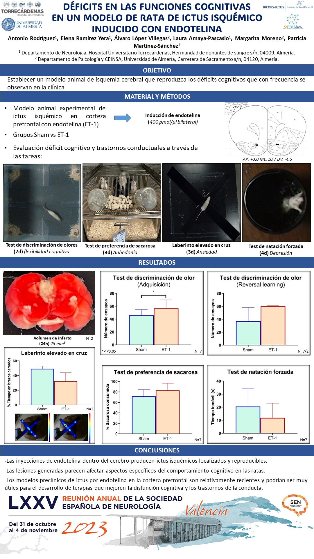 Déficits en las funciones cognitivas en un modelo de rata de ictus isquémico inducido con endotelina