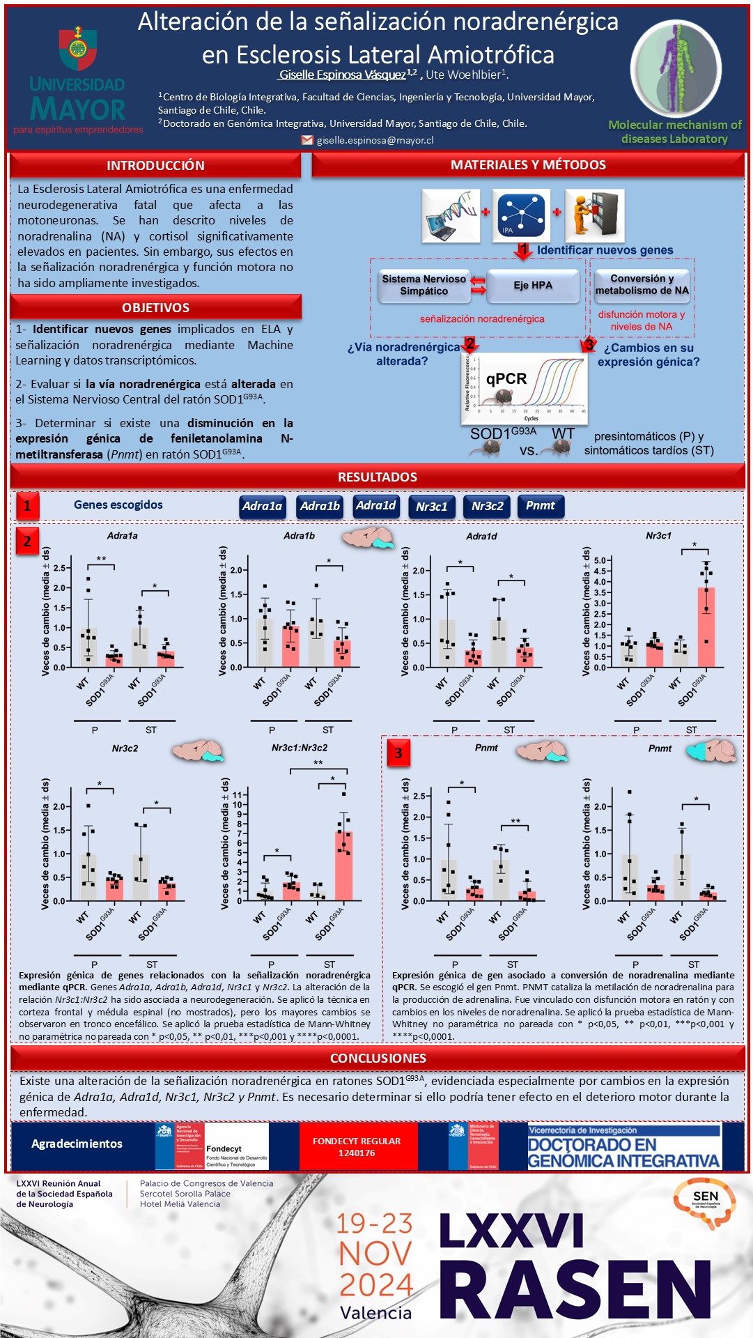 Alteración de la señalización noradrenérgica en Esclerosis Lateral Amiotrófica